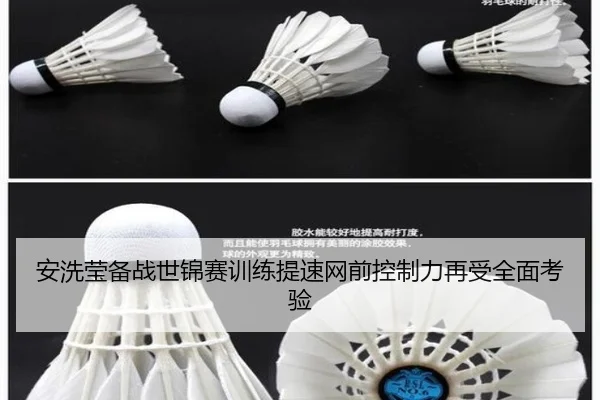 安洗莹备战世锦赛训练提速网前控制力再受全面考验