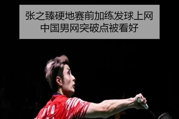 张之臻硬地赛前加练发球上网 中国男网突破点被看好